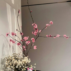 插花的艺术