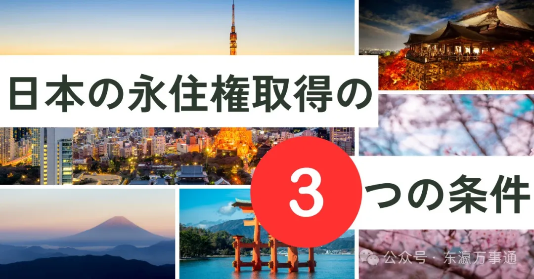 1882650151862468608.webp