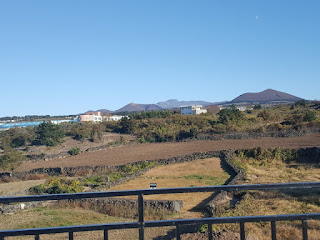 KakaoTalk_20210104_154500422.jpg