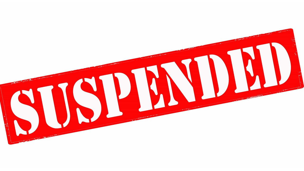 suspended.jpg